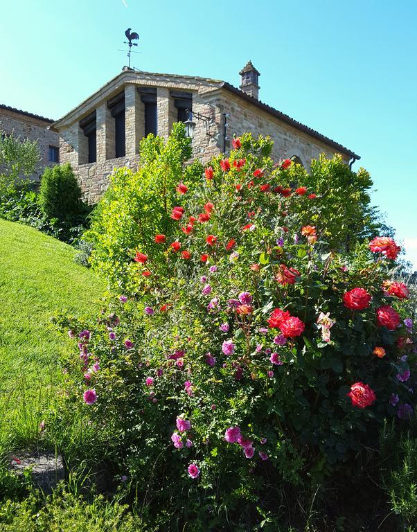 Podere Cunina ブオンコンヴェント エクステリア 写真